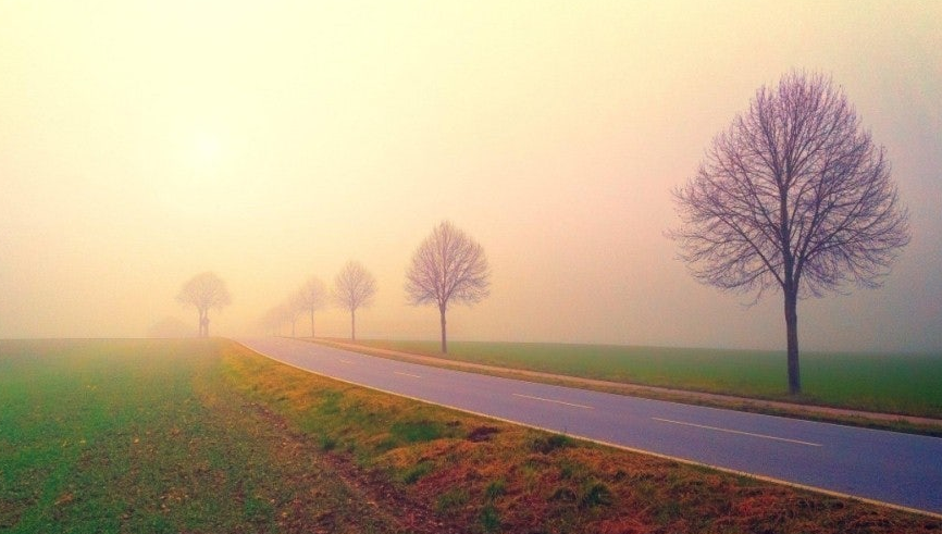 [시] 아침 스케치 (외 4수) - 최화길