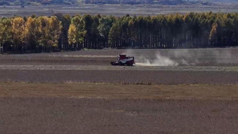 흑룡강성, 수확의 계절 맞이