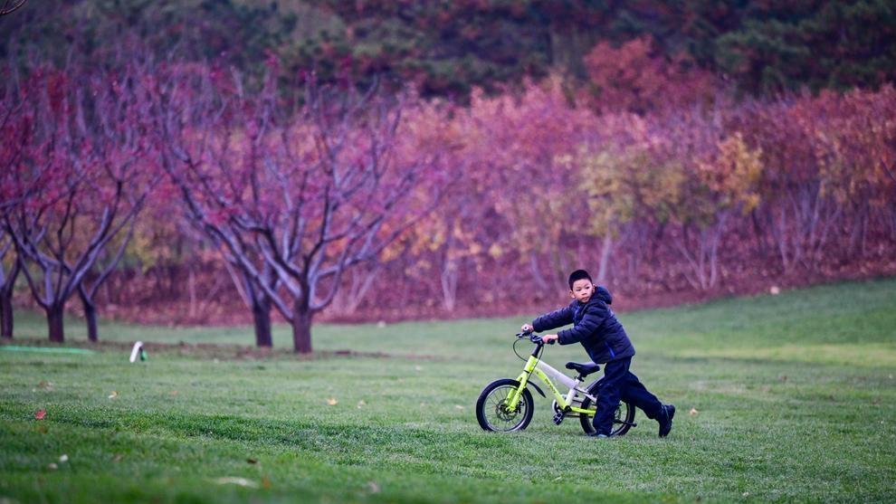 초겨울 정취가 가득한 북경