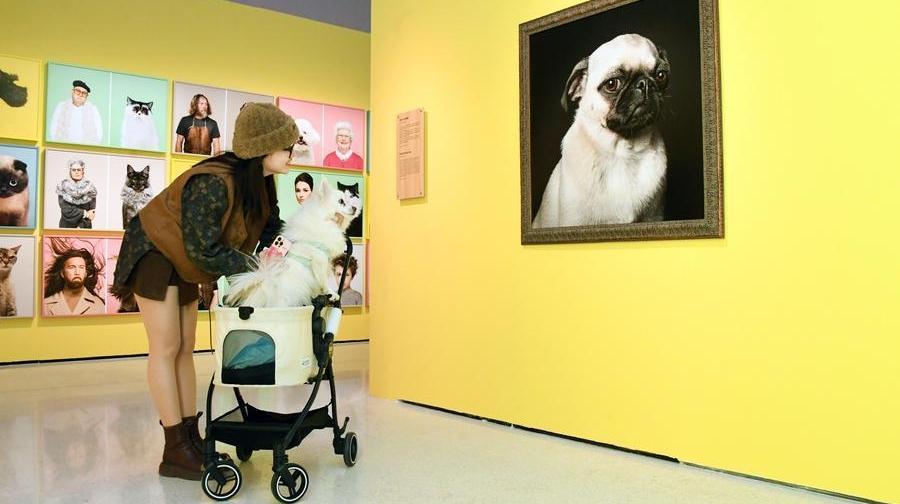 AI 기반 중국 펫코노미 시장 '쑥쑥' 성장