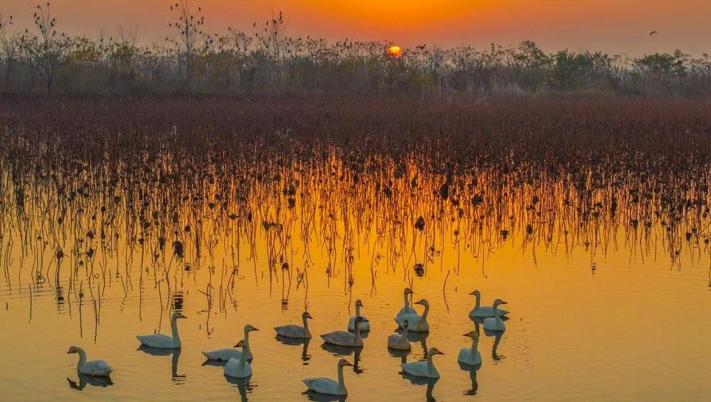 한폭의 그림 펼쳐낸 전국 각지 초겨울 풍경