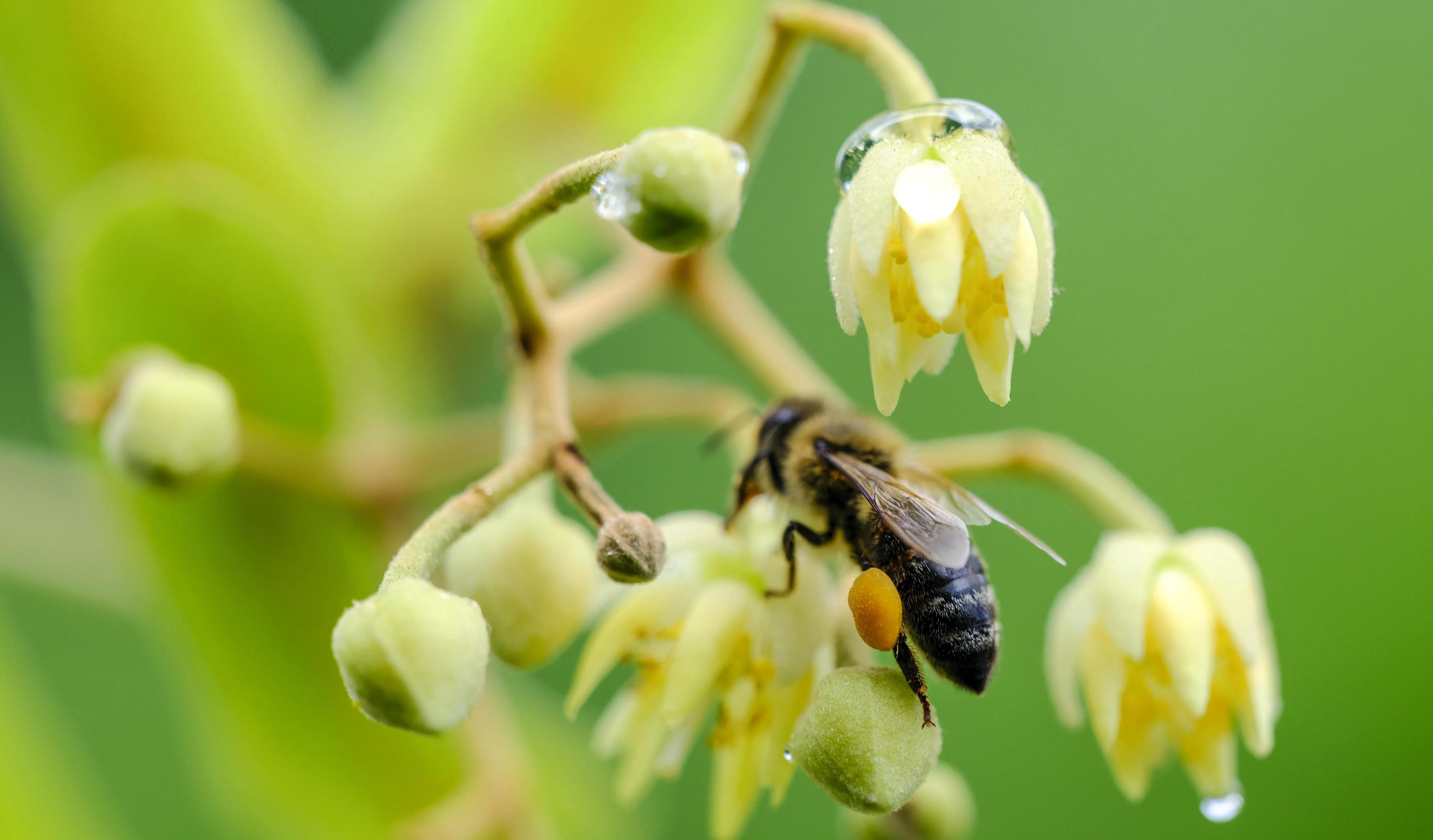 농업농촌부 제8차 명단 발표! 흑룡강성 2개 항목 선정