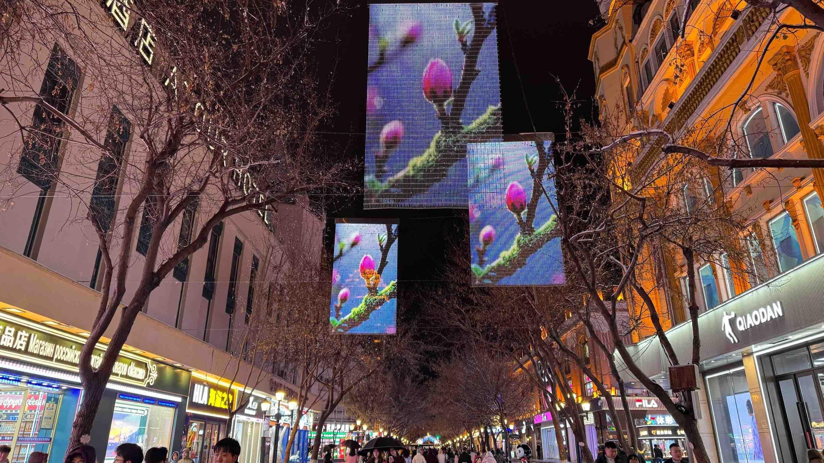 중앙대가 '환상의 장막' 봄날의 그림으로 새롭게 탈바꿈