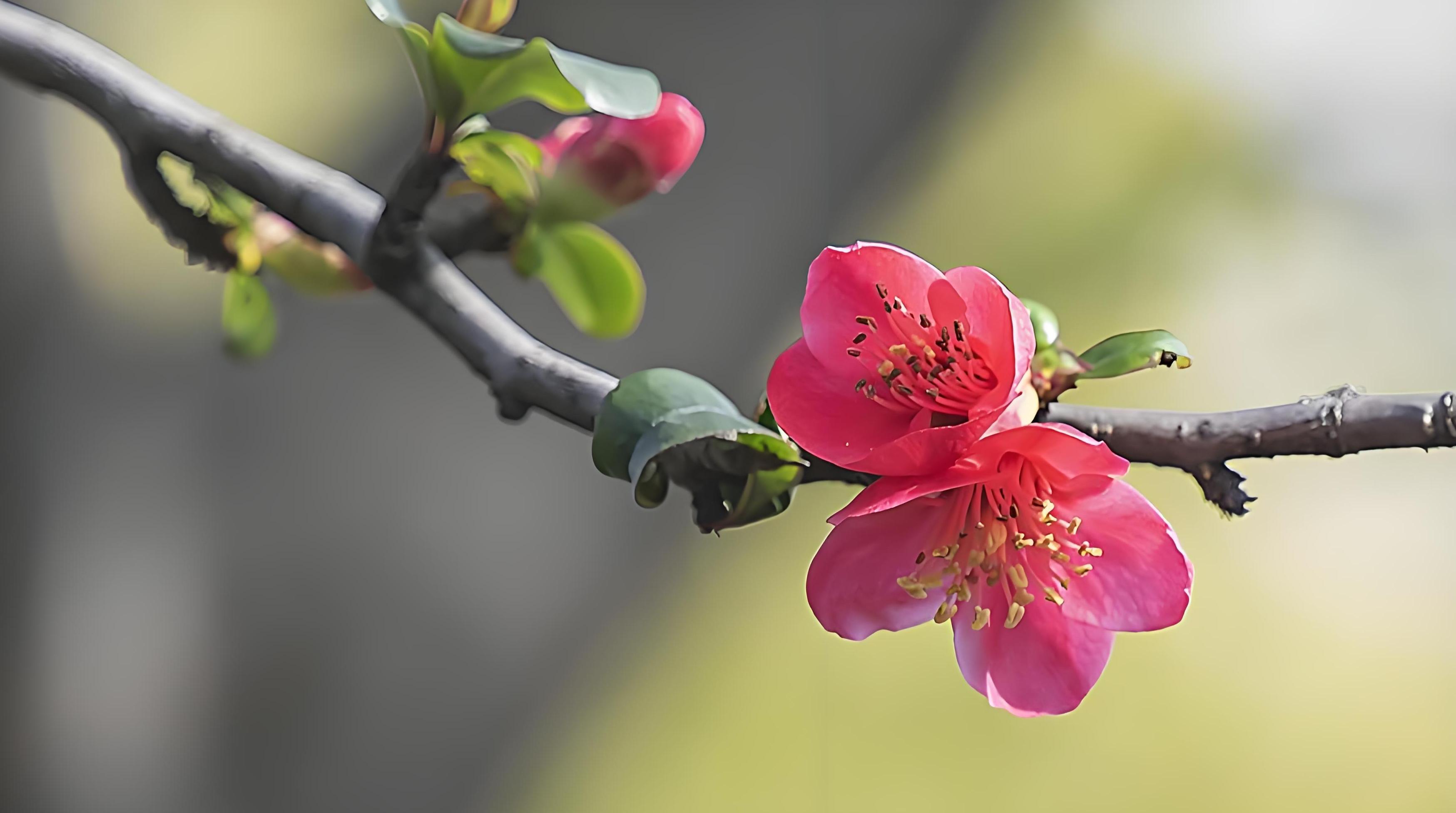 [시] 봄의 눈망울 (외 6수) - 한경애