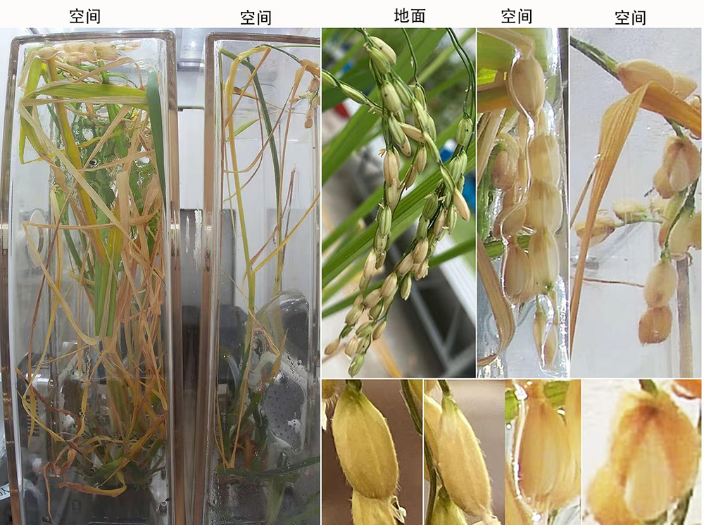 黑龙江新闻网